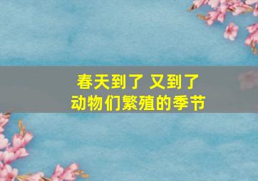 春天到了 又到了动物们繁殖的季节